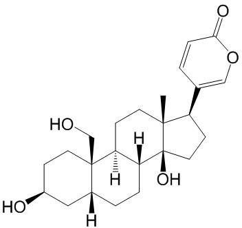 19-羟基蟾毒灵