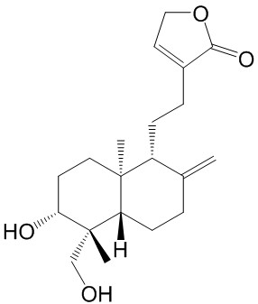 14-去氧穿心莲内酯