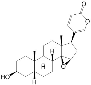 酯蟾毒配基