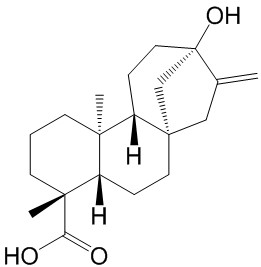 甜菊醇