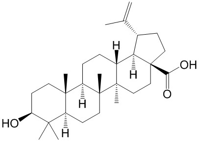 白桦脂酸