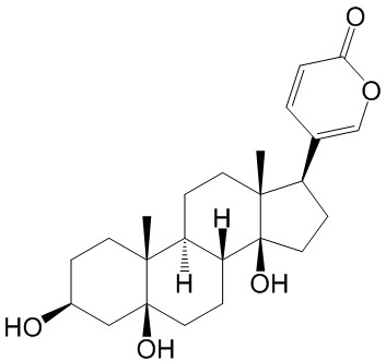 远华蟾蜍精