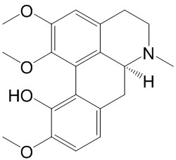 异紫堇定碱