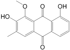 美决明子素