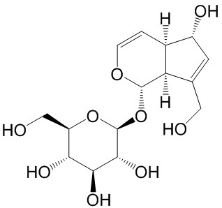 桃叶珊瑚苷