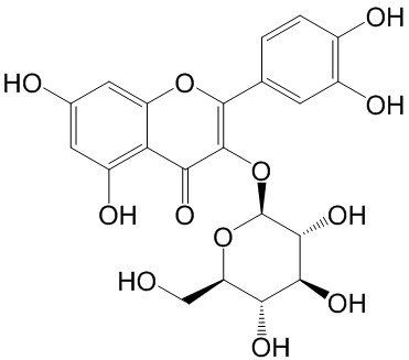 异槲皮苷；异槲皮素