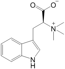 刺桐碱