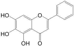 黄芩素（标定）