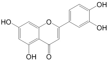 木犀草素（标定）