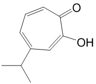 桧木醇