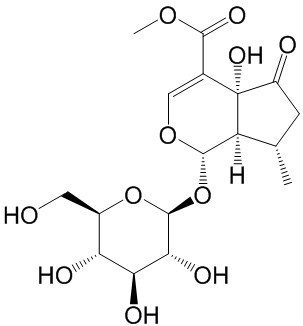 戟叶马鞭草苷