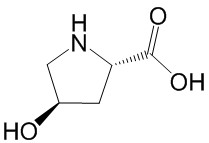 L-羟脯氨酸