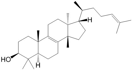 表大戟二烯醇