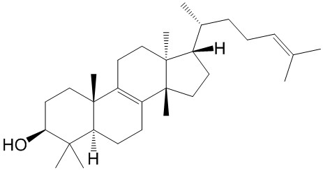 大戟二烯醇（标定）