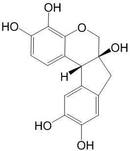 苏木素