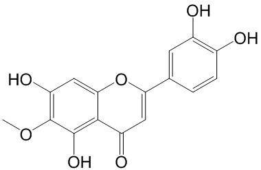 泽兰黄酮