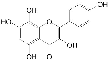 草质素