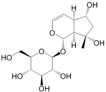 益母草苷