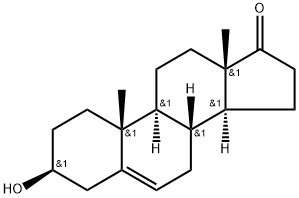 脱氢表雄甾酮(DHEA)