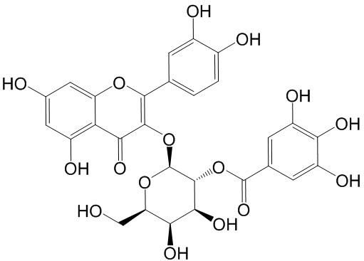 2”-O-没食子酰基金丝桃苷