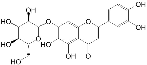 6-羟基木犀草苷