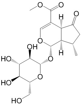 马鞭草苷