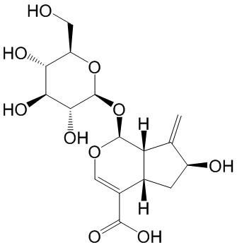 栀子新苷（栀子酮苷）