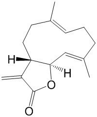 木香烃内酯