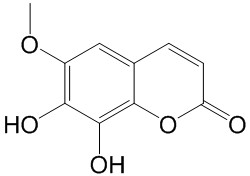 秦皮素