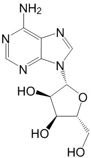 腺苷