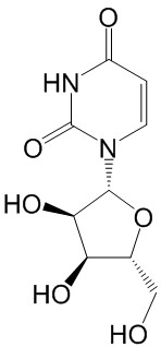 尿苷