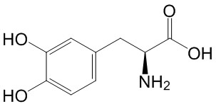 左旋多巴