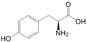 L-酪氨酸