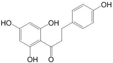 根皮素