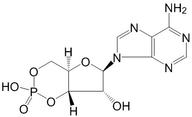 环磷腺苷