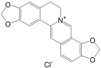 盐酸黄连碱