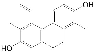 灯心草酚