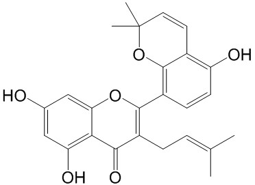 桑皮酮A