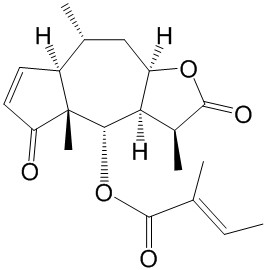 小堆心菊素C