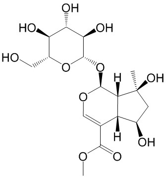 山栀苷甲酯