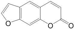 补骨脂素（标定）