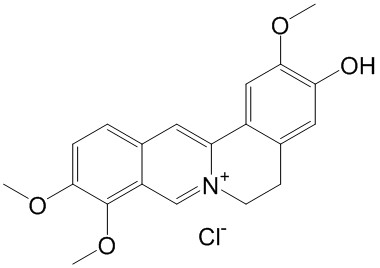 盐酸药根碱（标定）