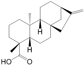 异贝壳杉烯酸