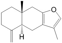 苍术酮