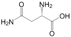 L-天冬酰胺