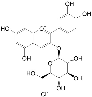 矢车菊素-3-O-葡萄糖苷;花青素