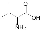 L-缬氨酸