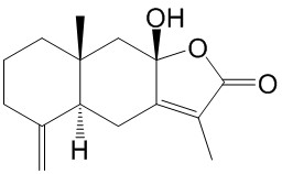 白术内酯III