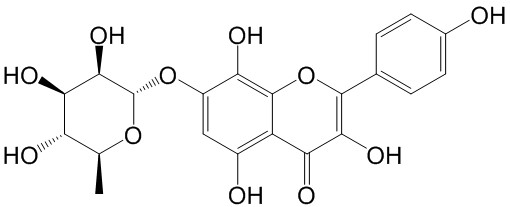 草质素苷 （草质素-7-O-α-L-吡喃鼠李糖苷）