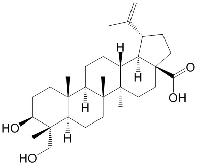 23-羟基白桦酸